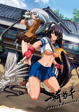 Ikkitousen: Dragon Destiny